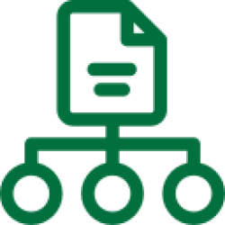 Organização Estruturada